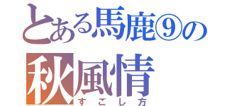 とある馬鹿⑨の秋風情（すごし方）