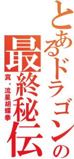 とあるドラゴンの最終秘伝（真・流星胡蝶拳）