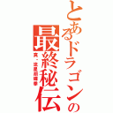 とあるドラゴンの最終秘伝（真・流星胡蝶拳）