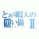 とある暇人の黒い猫Ⅱ（モリヘイ）