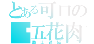 とある可口の烤五花肉（騎士領域）