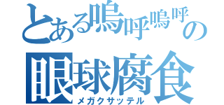 とある嗚呼嗚呼の眼球腐食（メガクサッテル）