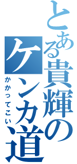 とある貴輝のケンカ道（かかってこい）