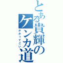 とある貴輝のケンカ道（かかってこい）