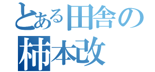 とある田舎の柿本改（）