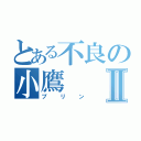 とある不良の小鷹Ⅱ（プリン）