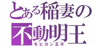 とある稲妻の不動明王（モヒカン王子）