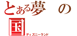 とある夢の国（ディズニーランド）