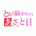 とある猫少年のあざと日記（可愛い）