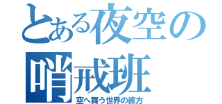 とある夜空の哨戒班（空へ舞う世界の彼方）