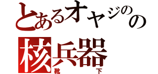 とあるオヤジのの核兵器（靴下）