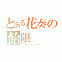 とある花奏の飴限（アメンバー）