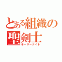 とある組織の聖剣士（ホーリーナイト）