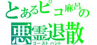 とあるピコ麻呂の悪霊退散（ゴーストハント）