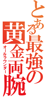 とある最強の黄金両腕（オールラウンダー）