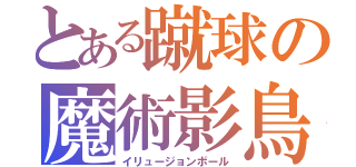 とある蹴球の魔術影鳥（イリュージョンボール）