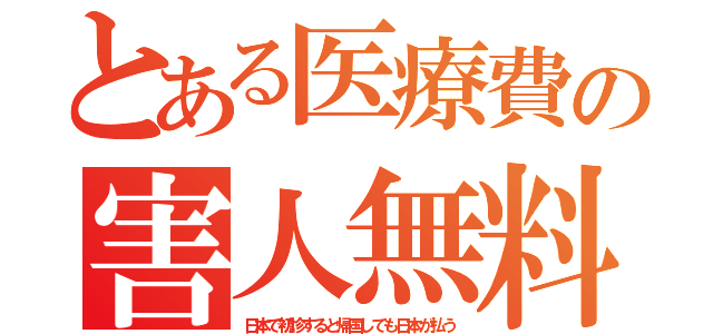 とある医療費の害人無料（日本で初診すると帰国しても日本が払う）