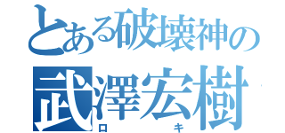 とある破壊神の武澤宏樹（ロキ）