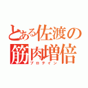 とある佐渡の筋肉増倍（プロテイン）