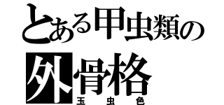 とある甲虫類の外骨格（玉虫色）