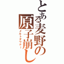 とある麦野の原子崩し（メルトダウナー）