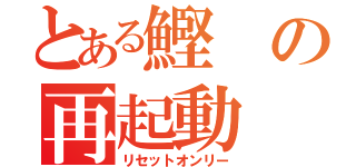 とある鰹の再起動（リセットオンリー）