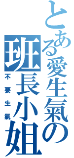 とある愛生氣の班長小姐（不要生氣）