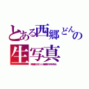 とある西郷どんの生写真（坂本龍馬に似ていた。薩摩重臣の子孫が見せた）