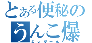 とある便秘のうんこ爆発（どっかーん）