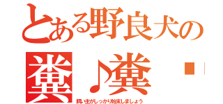 とある野良犬の糞♪糞〜♪（飼い主がしっかり始末しましょう）