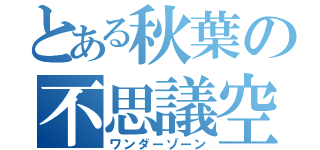 とある秋葉の不思議空間（ワンダーゾーン）