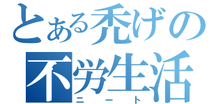 とある禿げの不労生活人（ニート）