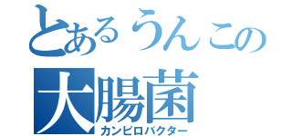 とあるうんこの大腸菌（カンピロバクター）