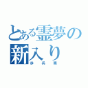 とある霊夢の新入り（歩兵隊）