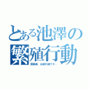 とある池澤の繁殖行動（齋藤君、お疲れ様です…）