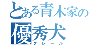 とある青木家の優秀犬（クレール）