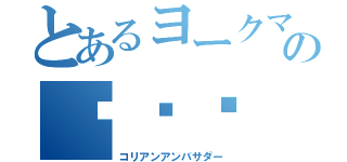 とあるヨークマの（コリアンアンバサダー）