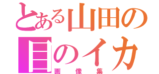 とある山田の目のイカレ模様（画像集）