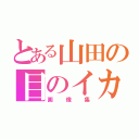 とある山田の目のイカレ模様（画像集）