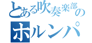 とある吹奏楽部のホルンパート（）