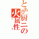 とある厨ニの火属性（バカ）