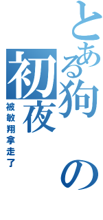 とある狗の初夜Ⅱ（被敏翔拿走了）