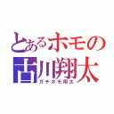 とあるホモの古川翔太（ガチホモ翔太）