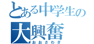 とある中学生の大興奮（おおさわぎ）