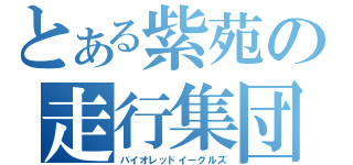 とある紫苑の走行集団（バイオレッドイーグルズ）