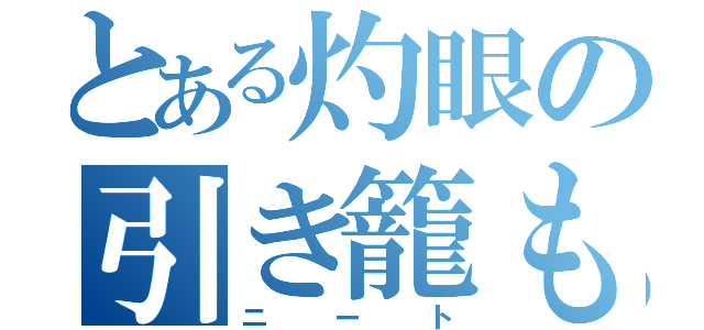 とある灼眼の引き籠もり男（ニート）