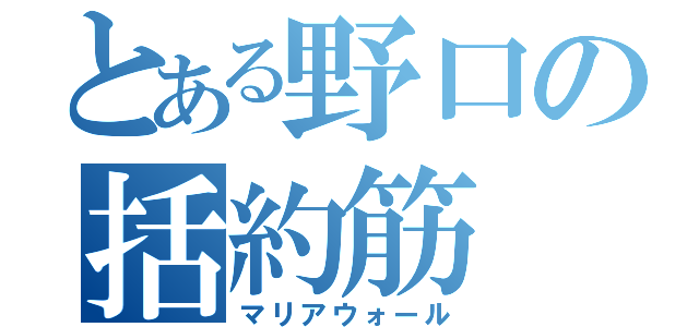 とある野口の括約筋（マリアウォール）