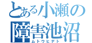 とある小瀬の障害池沼（ムトウヒデト）