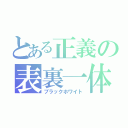 とある正義の表裏一体（ブラックホワイト）