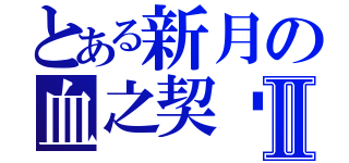 とある新月の血之契约Ⅱ（）